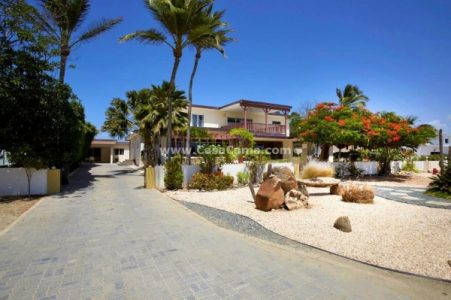 aruba-villa-rental-malmok-dreaming-huren