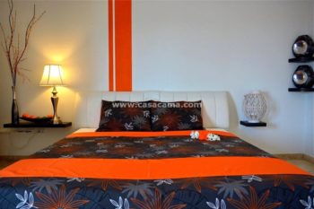 Curimiou Villa Royale Aruba Kamay Hills Rentals (27)