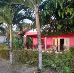 Hendrikstraat Paramaribo Vakantiewoning Suriname (1)