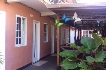 Koenawaristraat Paramaribo Stagewoning Suriname Studentenkamer Zwembad (21)