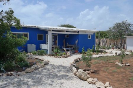 Matadera Appartement Huren Aruba (26)