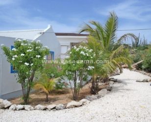 Paradera B Aruba Rent Huren (22)