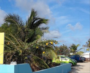 punt-vierkant-belnem-bonaire-apartments-rental (3)