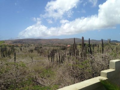 Sabanilla Abou Appartement Huren Aruba Vakantiewoning Lange Termijn (2)