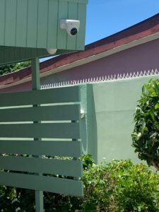 Schubappelweg Apartment Rental Huren Curacao Willemstad (10)