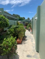 Schubappelweg Apartment Rental Huren Curacao Willemstad (14)