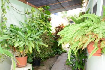 Tanki Leendert Studio Aruba Apartment Rental (13)