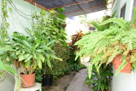 Tanki Leendert Studio Aruba Apartment Rental (13)