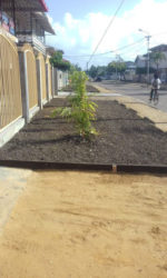 Van Lansbergestraat Kamerhuur Stagehuis Paramaribo Suriname (21)