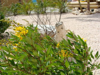 Dsc07238
