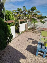 Kaya Virgo Bonaire Belnem Studio Apartments (6)