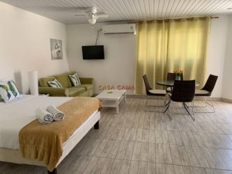 Salina Cerca Studio Aruba Vakantiewoning Rental (6)