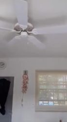 Kaya Amsterdam Bonaire Long Term Rental Studio Appartement (13)