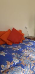 Studio Bonaire Lange Termijn Appartement (6)
