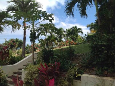 Sint Maarten House Rental Apartment Vakantiehuis Huren (3)