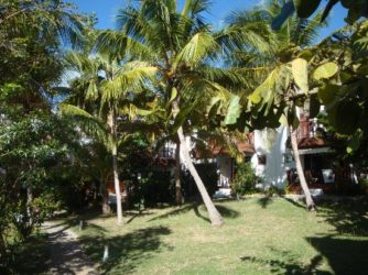 Sint Maarten Studio Apartment Swimming Pool Rental (17)