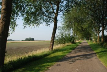 Vakantiehuis Aan Zee Zeeland Zeeuws Vlaanderen (10)