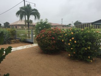 Vakantiewoning Rentahouse Paramaribo Suriname 292