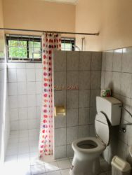 Vakantiewoning Rentahouse Paramaribo Suriname 317