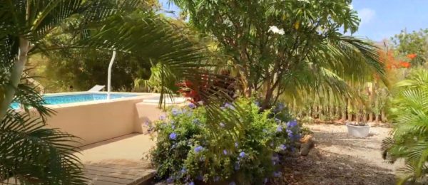 Vakantiewoning Villa Zwembad Belnem Bonaire Huren (11)