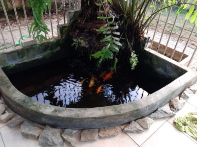 Img 20210831 Wa0015[3976]