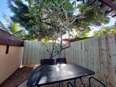 Garden1