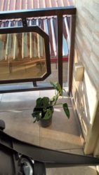 Img 20220131 Wa0007