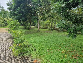 Lelydorp Vakantiewoning Lange Termijn Huurwoning Suriname (16)