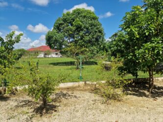 Lelydorp Vakantiewoning Lange Termijn Huurwoning Suriname (6)