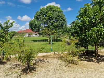 Lelydorp Vakantiewoning Lange Termijn Huurwoning Suriname (6)